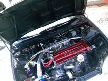 Engine Bay