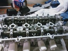 fresh built head