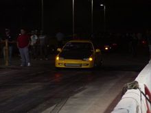 normal DSC06507
