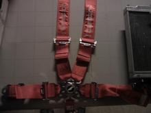 My harness.