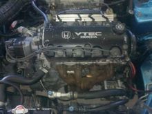 eg666666