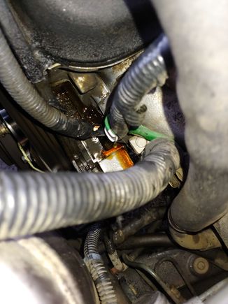 F22a6 oil leak, driver side