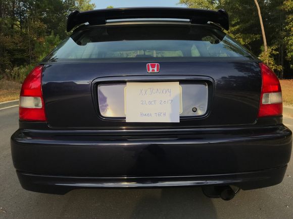 OEM CTR LIP WING