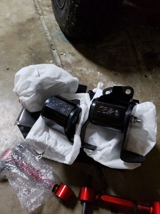 Need to put these in, going to pick up to front lower tomorrow i see theres not much left of it.  Ebay rear camber kit came in, theyre heavy so maybe worth it.