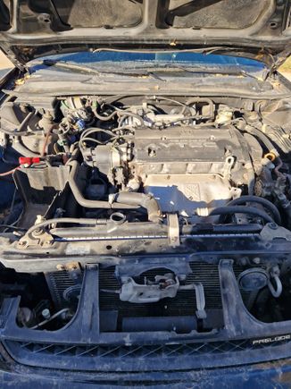  Engine bay as is. This is going to be a lot of fun work!