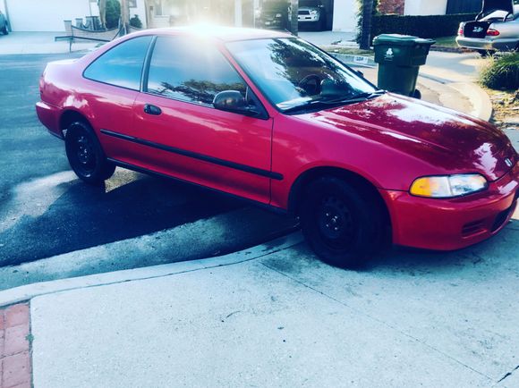 Freshly washed Maria