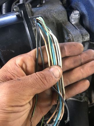 F20b distributor wires 