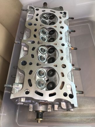 D16Z6 cylinder head