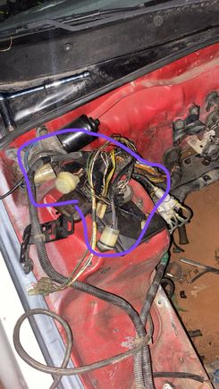 Passenger side harness which intertwines with light harness, what do I keep? It also goes through firewall which are my oem harness which connects to my oem ecu 