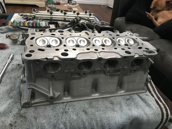 Ferrea turbo valves. Brian crower dual valve springs and stainless retainers to be installed soon. All new super tech valve stem seals installed already. 