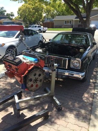 Engine going in the Chevelle