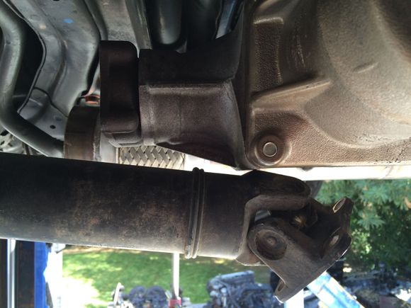 About 6" that need to come off