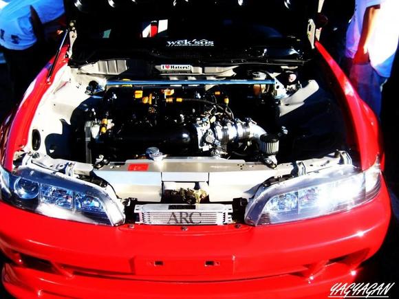 SAVAGE ASS INTEGRA.
