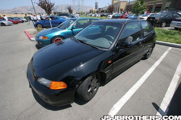 MY NEW BABY LOL