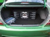 Trunk