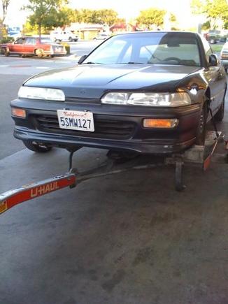 bringing the da back