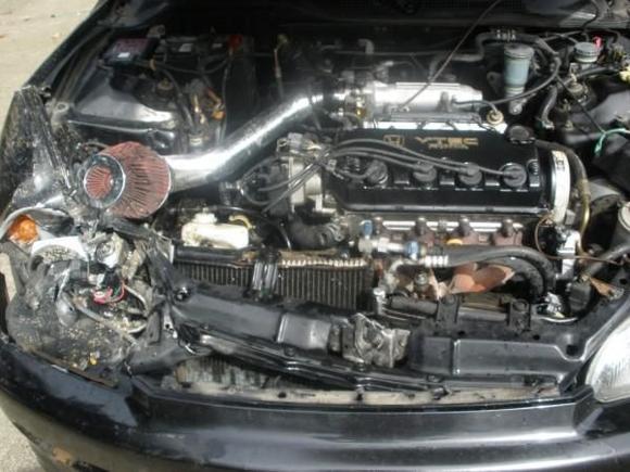 Inside of the hood what the deer messed up