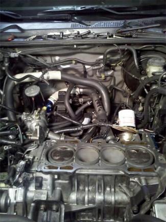 ewp install