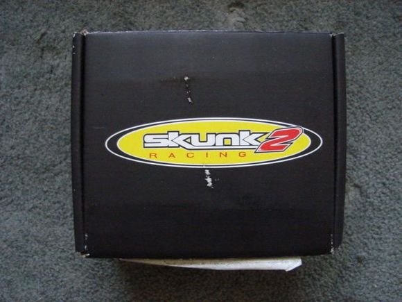skunk 2 logo
