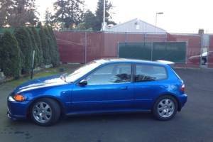 5N95Lc5K73K13Md3Jbbco0aa2fbcf75fc172e