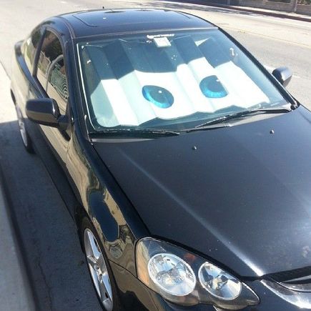 1148952 10151788202690688 842902939 n