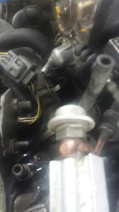 Outlet on the top, outlet/inlet for SC on bottom left. Hose sticking up on goes is the water pipe return