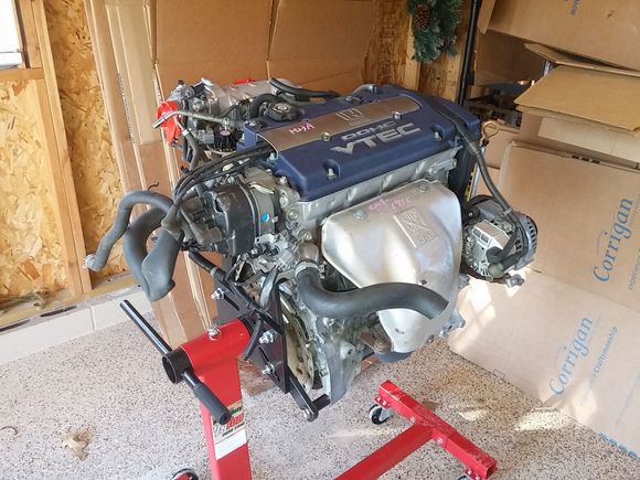 First image of Kaoru's new heart, H23A vtec, mounted and sready for disassembly.