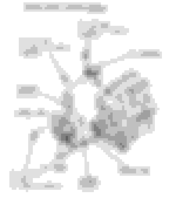 oil pump leaking HondaTech Honda Forum Discussion