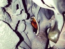 threw a rod! TIME FOR A NEW ENGINE!