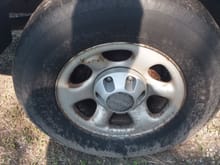 Need replacement Wheels