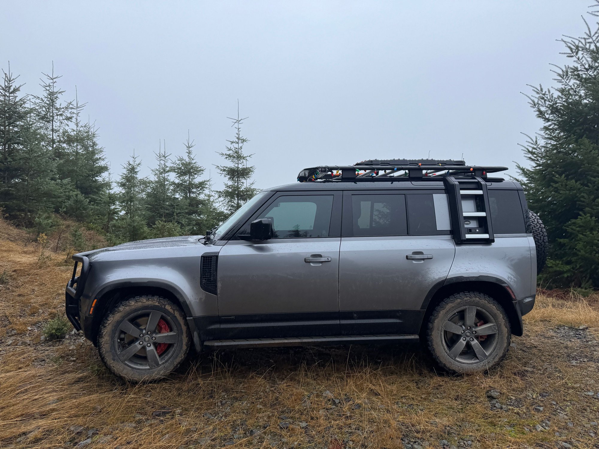 Sliders on their first test run today on a fire road in the forest