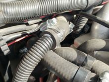 The hose with the brittle plastic ducting (not the wiring harness).