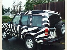 The moderately famous Zebra back in 1997