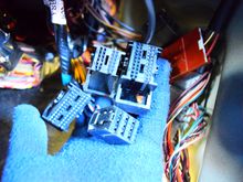 Connectors are clean and undamaged.