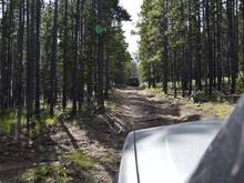 Fire went through year last year, the road itself had a one long stretch of root speed bumps, about 30 -45 minutes.  Not good for weak bladders