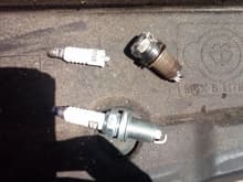 Further evidence of I needed to change Spark Plugs. Top is an Autolite, bottom is Champion