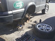 Pulled pads and rotors from the parts truck