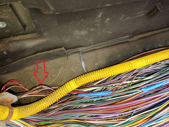 The dreaded melted wire, went from fuse satellite to window lift ecu :S