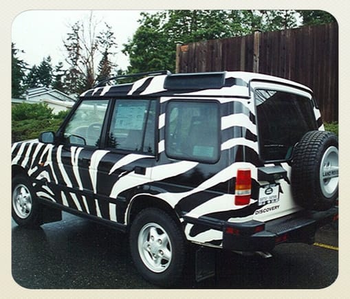 The moderately famous Zebra back in 1997