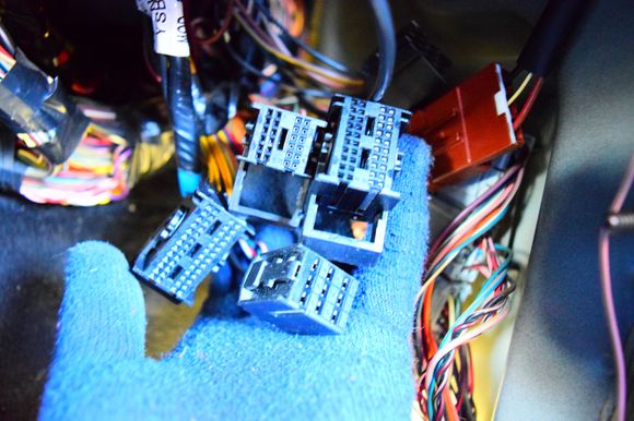 Connectors are clean and undamaged.