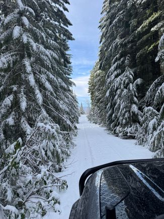 This was today's "I'm lucky to live in the Pacific NW" moment. Simply beautiful. 