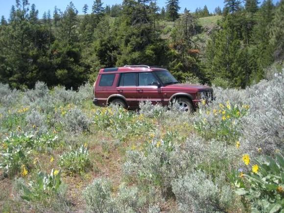 On the property