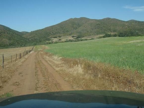 Greenest grass I've ever seen in Northern Baja.