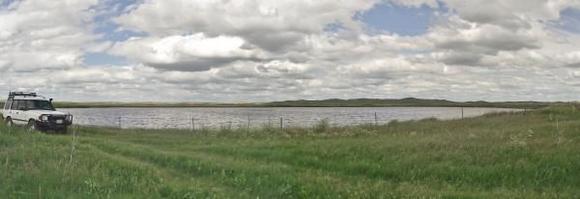 RoveringThe Sandhills WithAmyJune2014 273 (1800x618)
