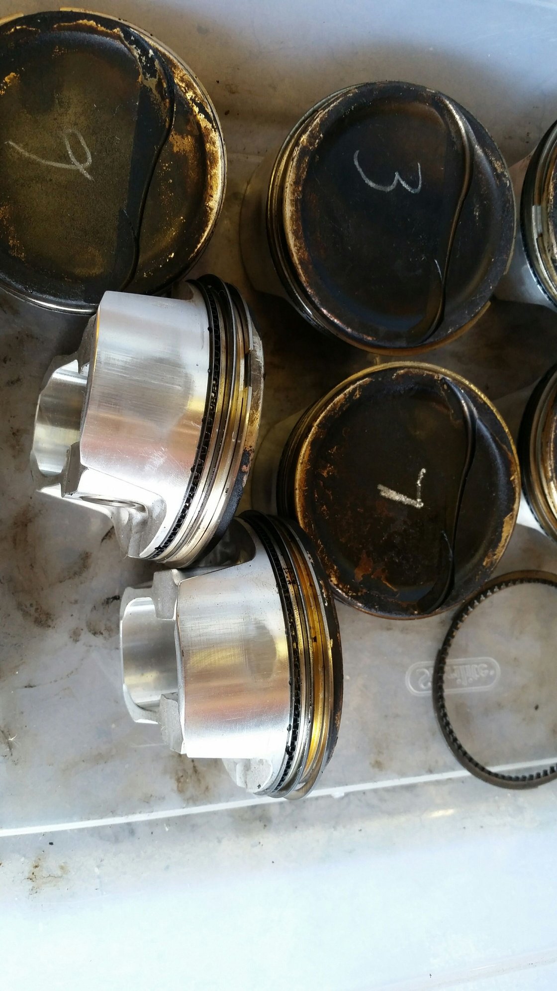 Opinion on my Cylinder Scoring LS1TECH Camaro and Firebird Forum