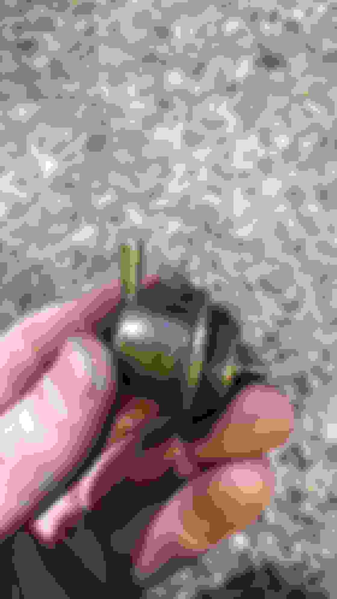 How To Adjustable Fuel Pressure Regulator w/Stock LS1 Fuel Rail