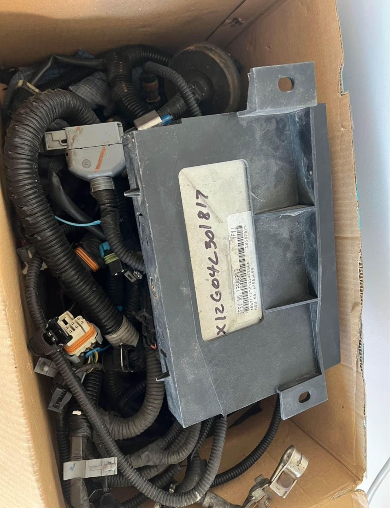 Engine - Electrical - 2004 gto ls1/auto engine harness and pcm - Used - 0  All Models - Owensboro, KY 42301, United States