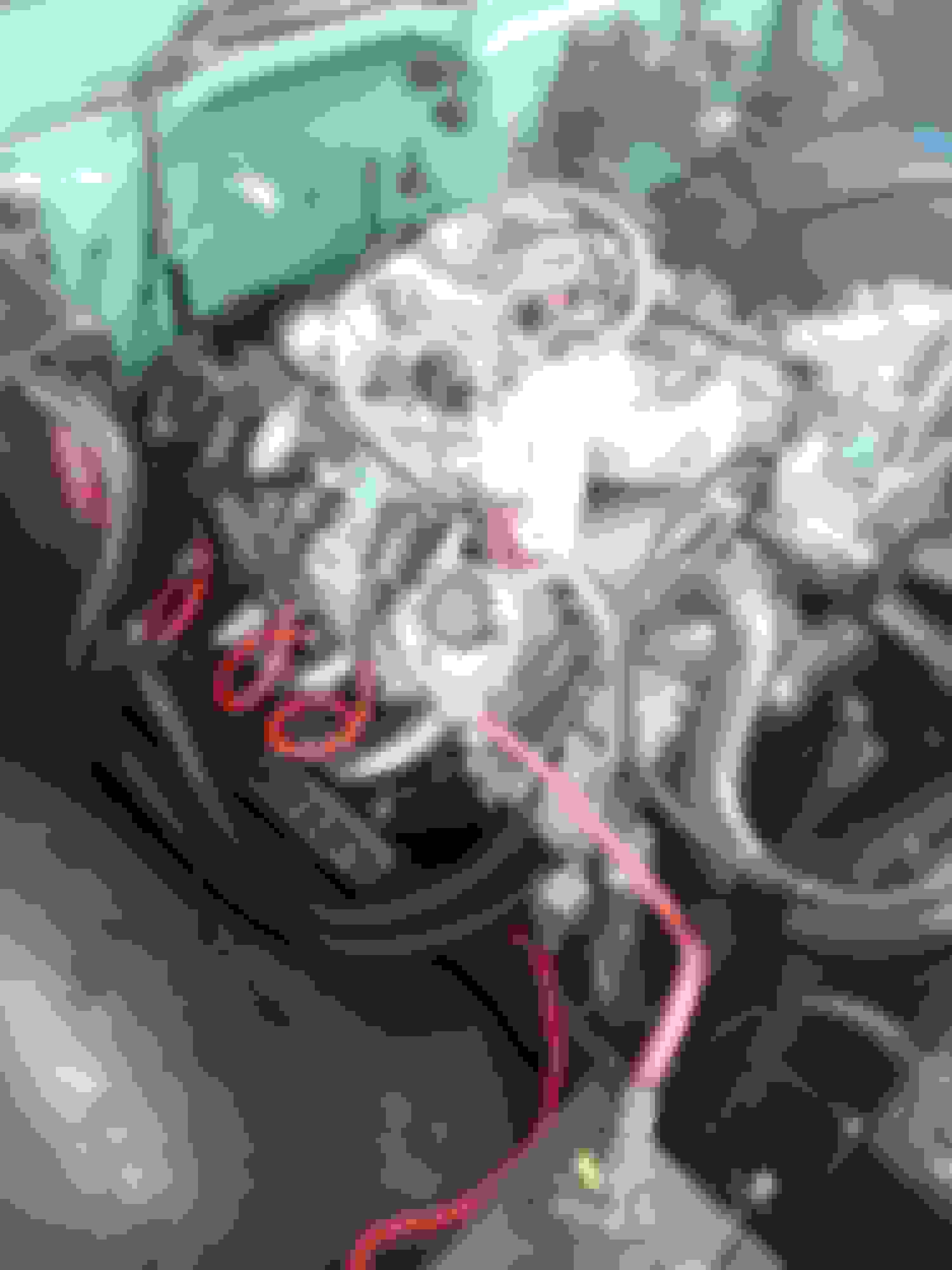 MSD 6014 No Start Problem Page 2 LS1TECH Camaro and Firebird