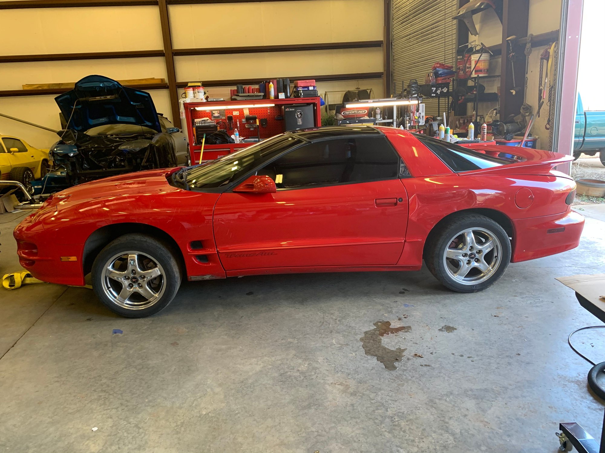 Exterior Body Parts - 2002 trans am ws6 - Used - 1993 to 2002 Pontiac Firebird - Conyers, GA 30013, United States