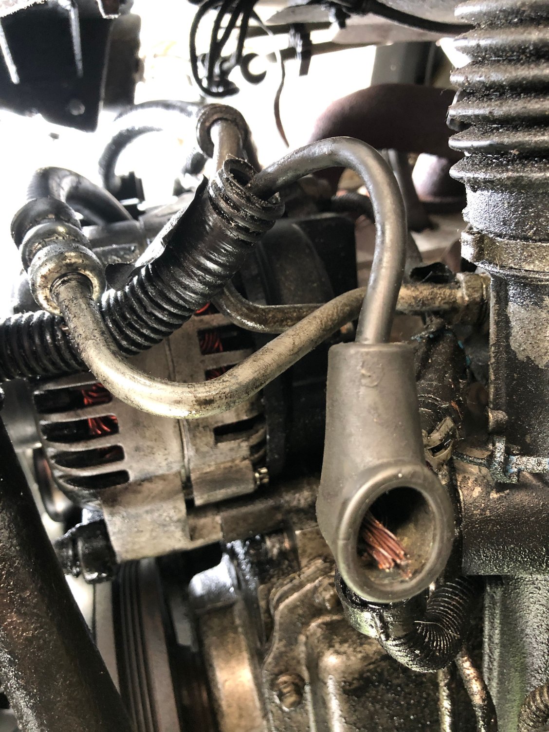 99 Camaro Z28 Ls1 Completely Dead - Ls1tech